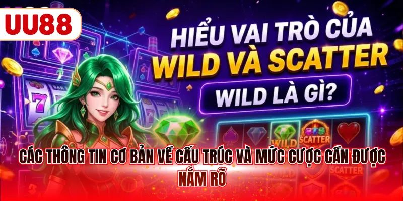 Các thông tin cơ bản về cấu trúc và mức cược cần được nắm rõ