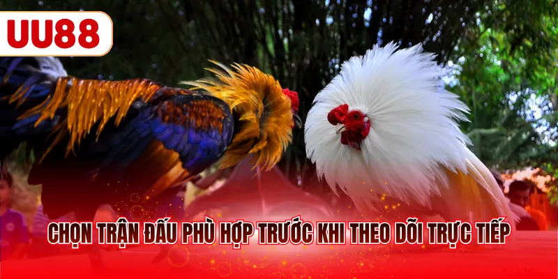 Chọn trận đấu phù hợp trước khi theo dõi trực tiếp