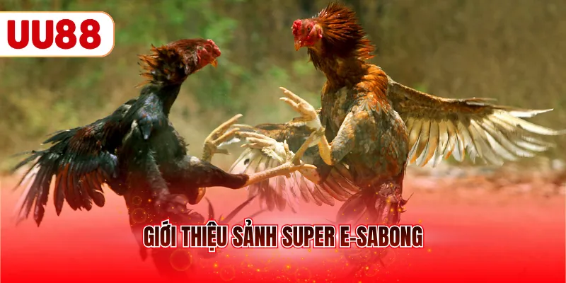 Giới thiệu sảnh Super e-sabong