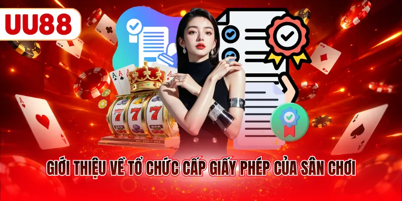 Giới thiệu về tổ chức cấp giấy phép của sân chơi