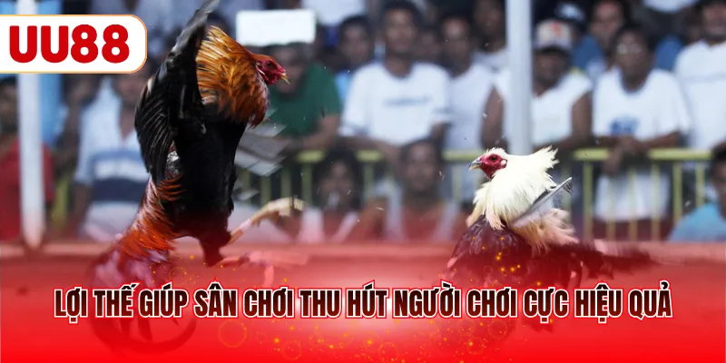 Lợi thế giúp sân chơi thu hút người chơi cực hiệu quả