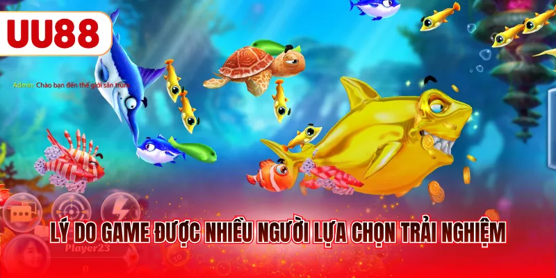 Lý do game được nhiều người lựa chọn trải nghiệm