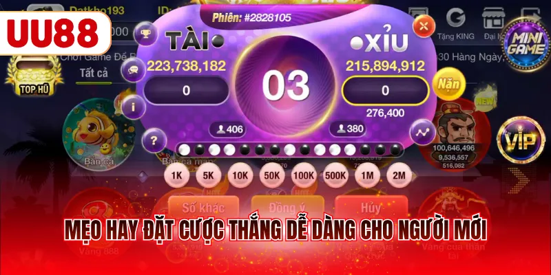 Mẹo hay đặt cược thắng dễ dàng cho người mới