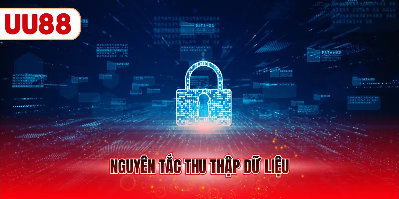 Nguyên tắc thu thập dữ liệu