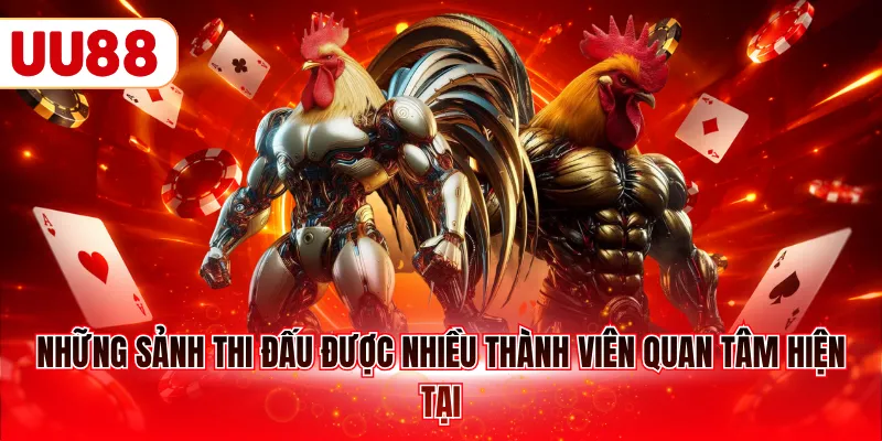 Những sảnh thi đấu được nhiều thành viên quan tâm hiện tại
