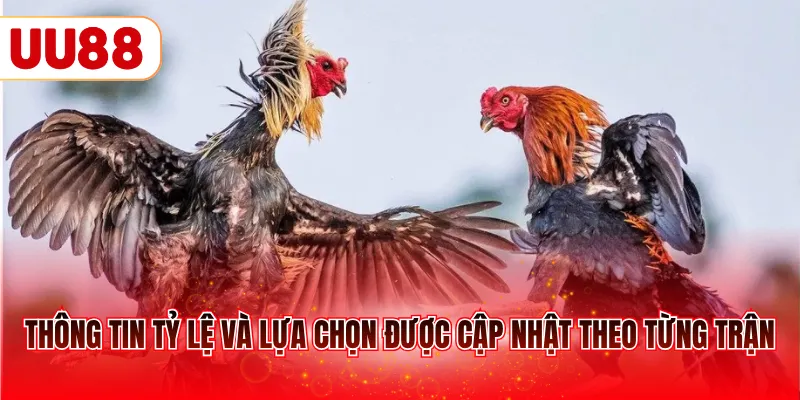 Thông tin tỷ lệ và lựa chọn được cập nhật theo từng trận